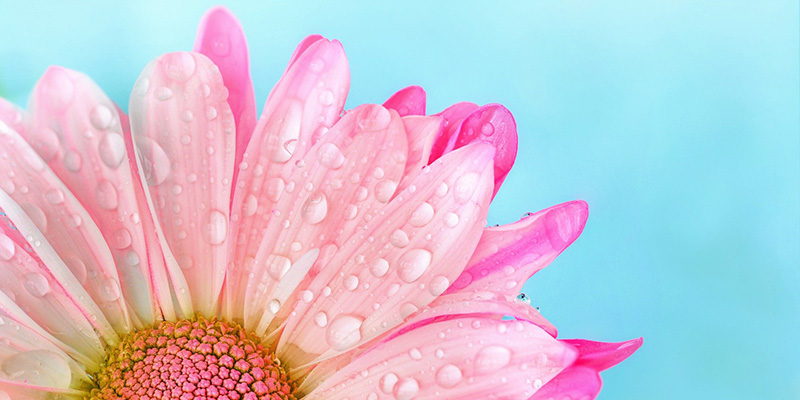 Whole-Person Health with HealthPrime Pro